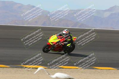 media/Nov-05-2022-SoCal Trackdays (Sat) [[f8d9b725ab]]/Bowl (1145am)/